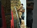 فديو مؤثر على اغنيه احكيلي و فضفضلي 