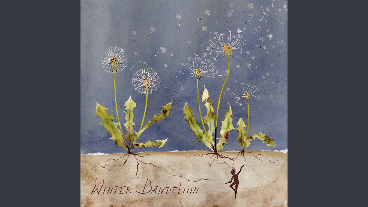 Watch Winter Dandelion on YouTube Watch Winter Dandelion on YouTube