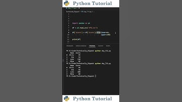 How to Keep Your Data in Check with Pandas | Python Tutorial