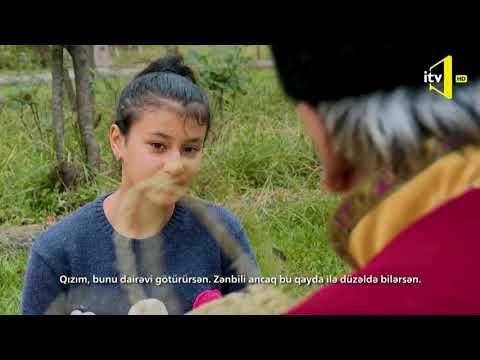 Talış dili hind-avropa dil ailəsinə daxil dillərdən biridir