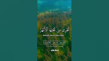 سورة التحريم الآية ٨ الشيخ سعد الغامدي