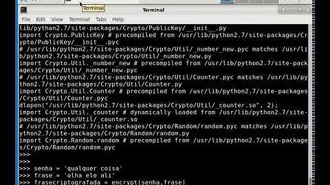 Demonstração de criptografia.