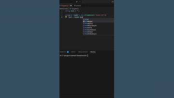 Ler arquivos de texto em C#
