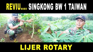 Riviu singkong BW 1 Taiwan metode lijer rotary