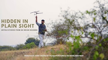 Hidden in plain sight - Trailer