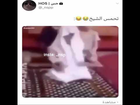 نكت هستيريا تحمس الشيخ في الصلاة