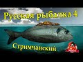Русская рыбалка 4. Охота на Осётра