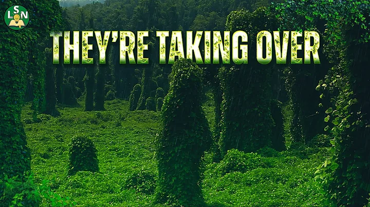 The Plants and Animals DESTROYING Ecosystems | Invasive Species