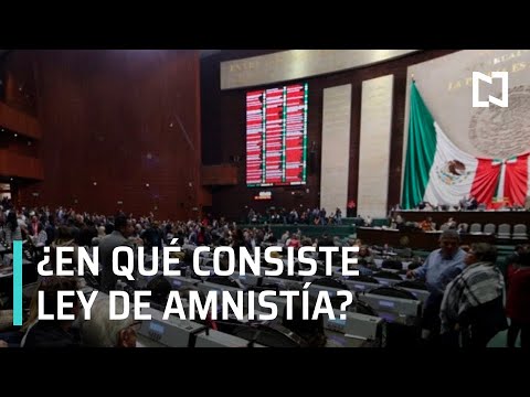 Video: En la ley, ¿qué es la amnistía?