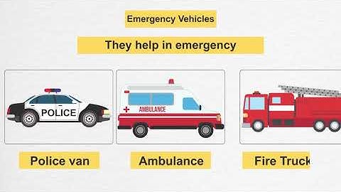 Class 3 EVS Chapter 11 From Here to There  English Environmental Studies cbse ncert Looking Around