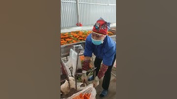 Cà rốt xuất khẩu 2025