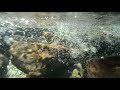 【自然音】水の中 - 3 / 1 Hour Nature Sounds - The Sound in the Water