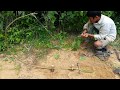 How to Make Forest Chicken Trap | Wild Chicken Trap ( Primitive Trap )