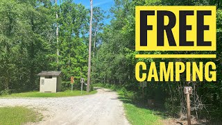 Free Camping at Dixon Field Landing, Croatan NF, NC