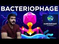 The Deadliest Being on Planet Earth – The Bacteriophage  (Kurzgesagt – In a Nutshell) CG Reaction