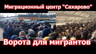 Проблема мигрантов: «бомба» никуда не делась!