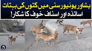 Many dogs in Peshawar University, teachers and staff suffer from fear - Aaj News