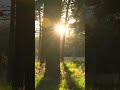 Nature is speaking to you. Just listen. #shorts #youtubeshorts #viralshorts #foryou #slowmotion
