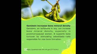 Genistein in soy increases bone mineral density, stimulating osteoblast cell. #BoneHealth #Genistein