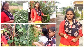 Garden Tour | Enga Street Garden Sutri Pakalam Vaanga | Sherin Media 31