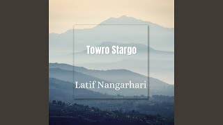 Towro Stargo
