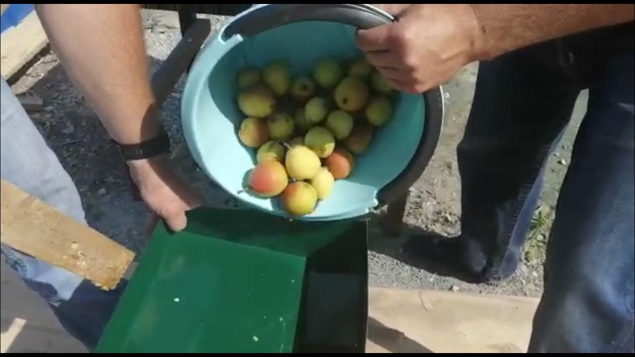 Как измельчить яблоки
