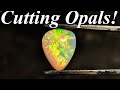 So Many Amazing Opals! Cabbing Welos, Honeycomb, Brazilian Opal, Australian Opal, and More!