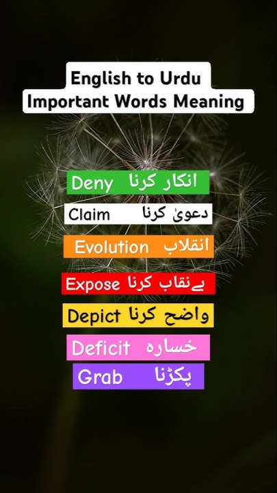 english-to-urdu-vocabulary-important-words-meaning-shorts-shortsfeed