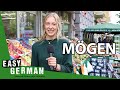 Irregular Verbs: Mögen | Super Easy German (103)