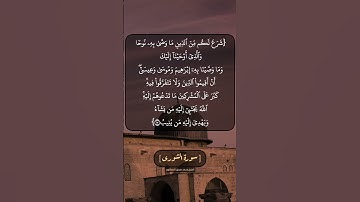 سورة الشورى الآية ١٣ بصوت الشيخ محمد صديق المنشاوي