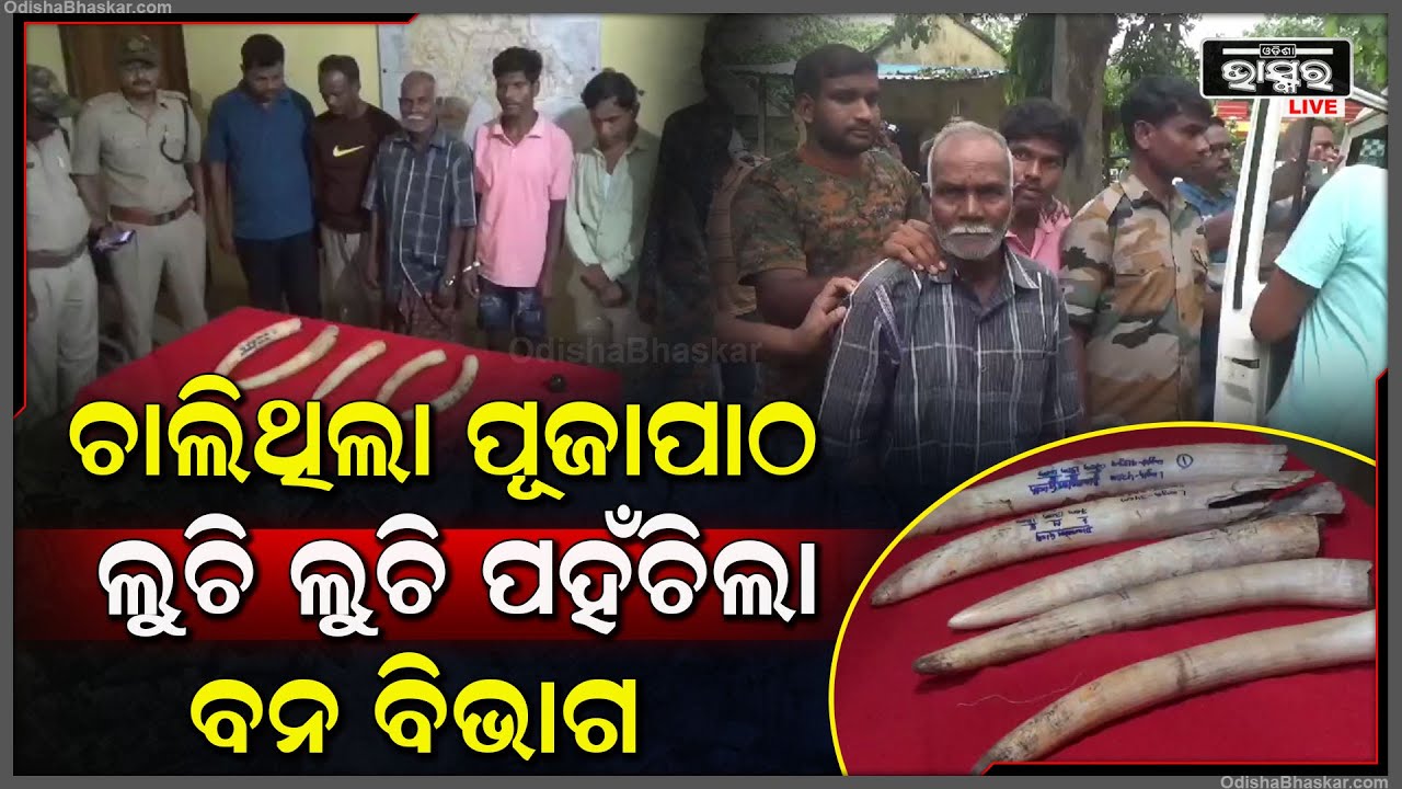 ପୂଜା ପାଠ ଚାଲିଥିବା ବେଳେ ହଠାତ ପହଂଚିଗଲା ବନ ବିଭାଗ, ସମସ୍ତେ ଛାନିଆ ହୋଇଗଲେ...