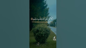 ما اجمل القرآن الكريم #نور وهدايه # القرآن كتاب المسلمين