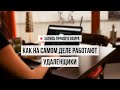 Как на самом деле работают удаленщики