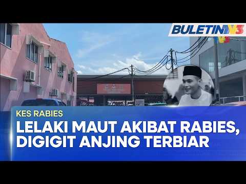 KES RABIES | Lelaki Maut Akibat Rabies, Digigit Ketika Beri Anjing Makan (BU)