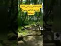 الغابه الاكثر رعبآ في العالم غابة هوياباكيو برمودا رومانيا