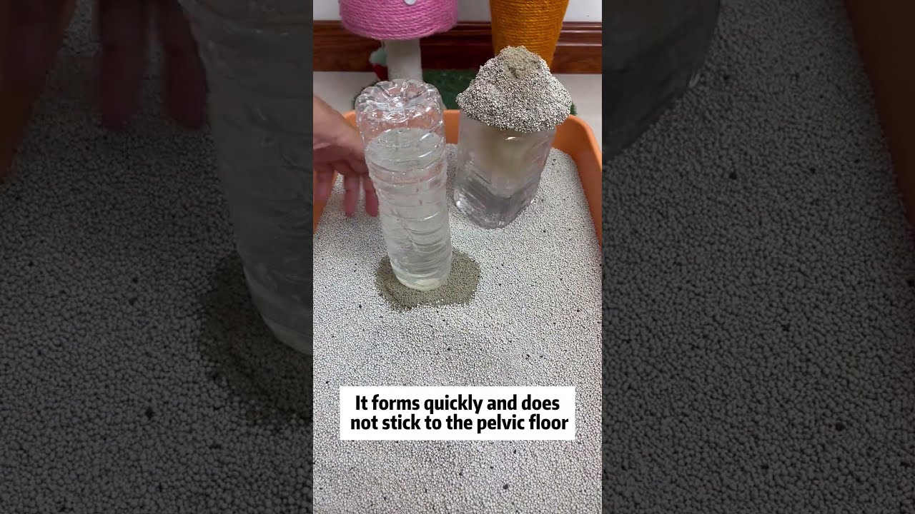 Mineral cat litter wholesale. Cat litter test. dust free cat litter china supplier #petcare #cat