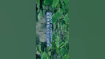 Thumbnail of 六道輪迴一滴淚 - 李英🎵 #音樂#翻唱 #必听热门歌曲#分享 #laguemasmandarin90an #抒情小曲集 #抖音 #music #大陸歌 #sadchinesemelody#song