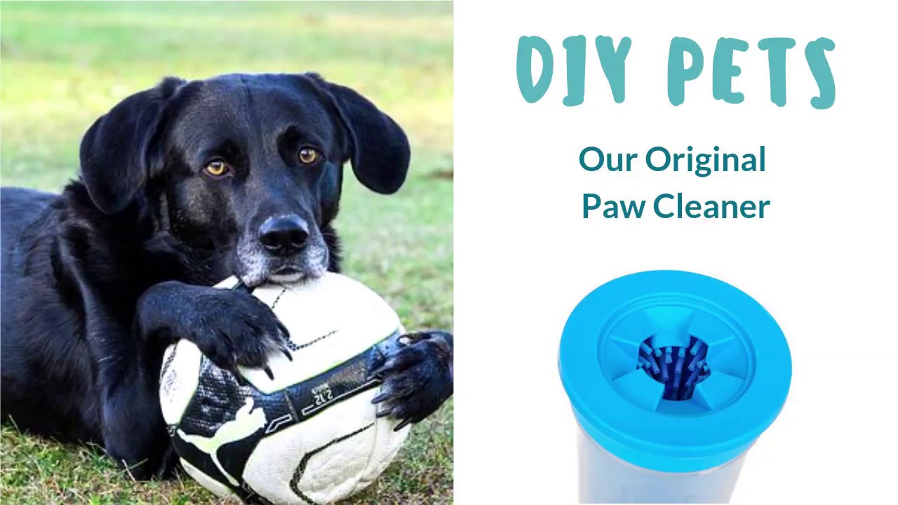 DIY Paw Cleaner - YouTube