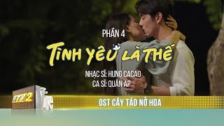 OST 4: TÌNH YÊU LÀ THẾ -  Quân AP| Nhạc phim Cây Táo Nở Hoa