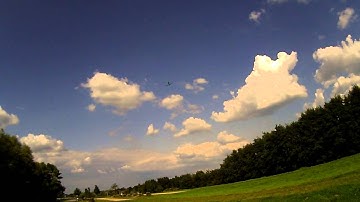 Blade 450 3D inverted, loops, flips and rolls