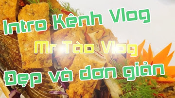 5 Phút Tạo Intro Kênh Vlog 3D đẹp và đơn giản | After effect | Mr Tào