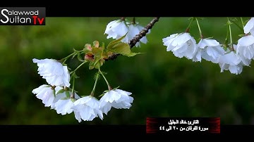 فديو HD مختارات 10 القارئ خالد الجليل I قناة سلطان العواد