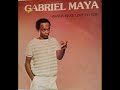 Gabriel maya  wanna make love to you 1984 hope records