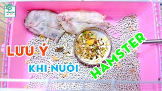 NHỮNG ĐIỀU CẦN TRÁNH KHI NUÔI CHUỘT HAMSTER | Thiên Đường Thú Cưng #10