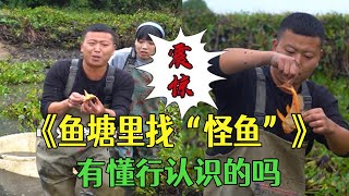 Download Lagu 魚塘裏找“怪魚”,有懂行認識的嗎?這到底是什麽魚#三農 #新農人計劃2025 #我要上熱門 #戶外 #小飛哥 #包塘 #農村生活 MP3 Download Lagu 魚塘裏找“怪魚”,有懂行認識的嗎?這到底是什麽魚#三農 #新農人計劃2025 #我要上熱門 #戶外 #小飛哥 #包塘 #農村生活 MP3