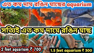 শেষ সপ্তাহের সস্তার molly guppy platy fish দাম কত serampore pet market  serampore aquarium