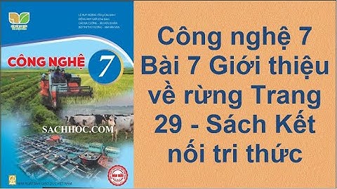Công nghệ 7 Bài 7 Giới thiệu về rừng Trang 29 - Sách Kết nối tri thức
