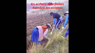 Hambre en el Perú, solo lo pasan los OCIOSOS