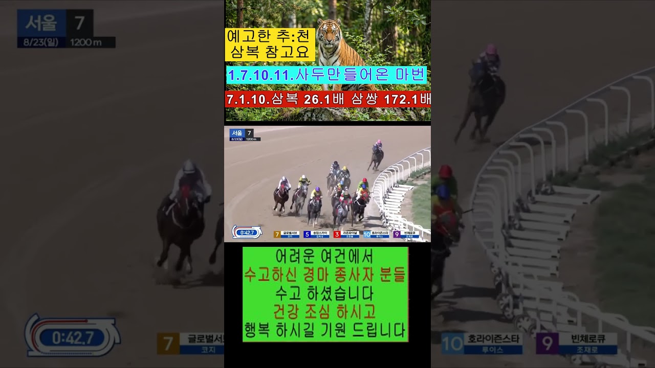 경마:예고 추:천 삼복까지 7.1.10.들어오는 영상보기 최선다하 기수들 응원합니다