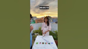 The Memory Game Of Guess The  Flag Challenge  #sbsvlog #funny_game